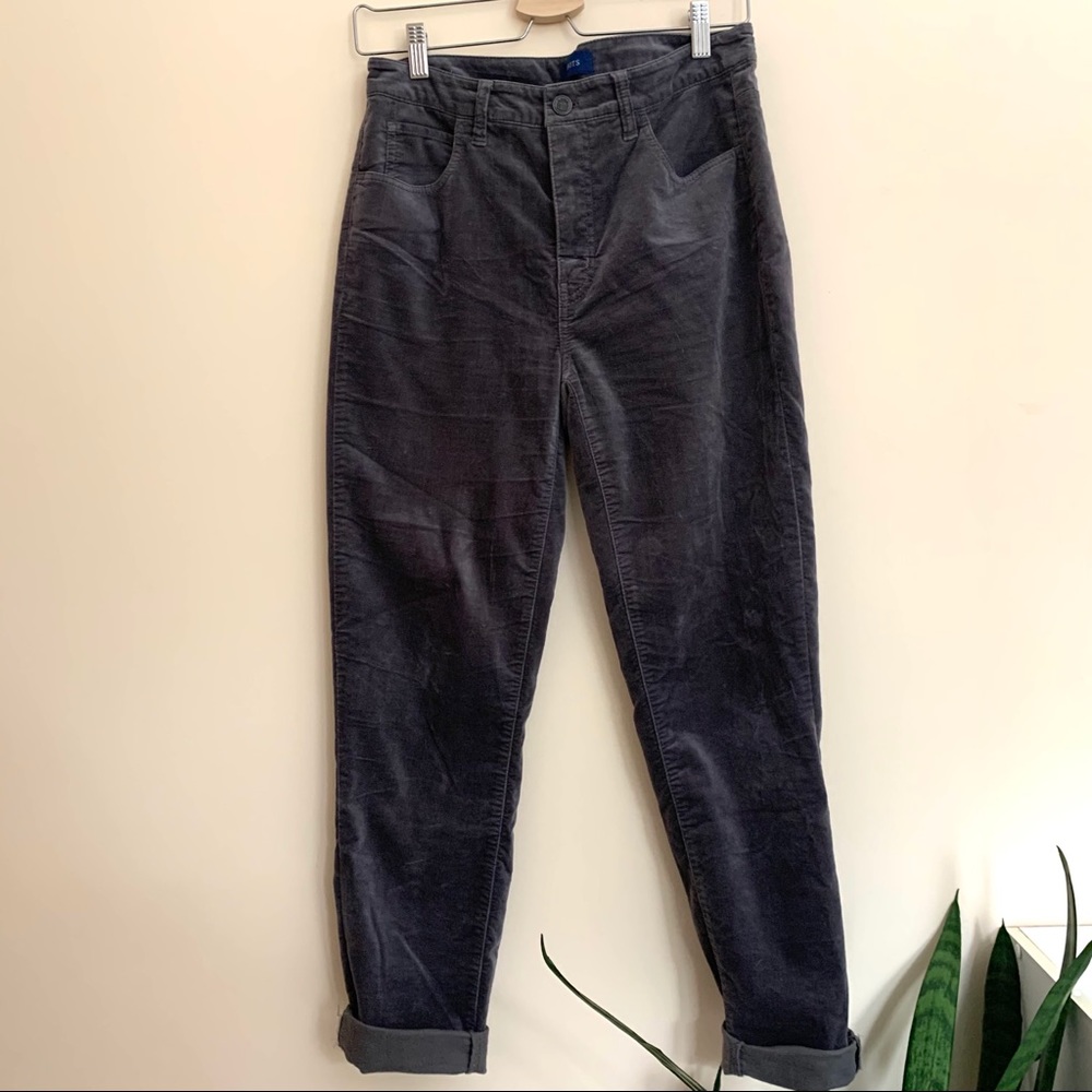 Talbot velvety gray/grey high waisted pants
